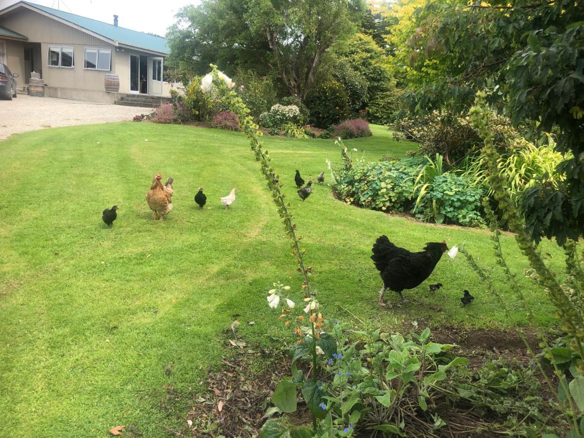 Southland Organic Farmstay 인버카길 외부 사진